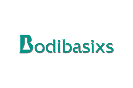 BODIBASIXS