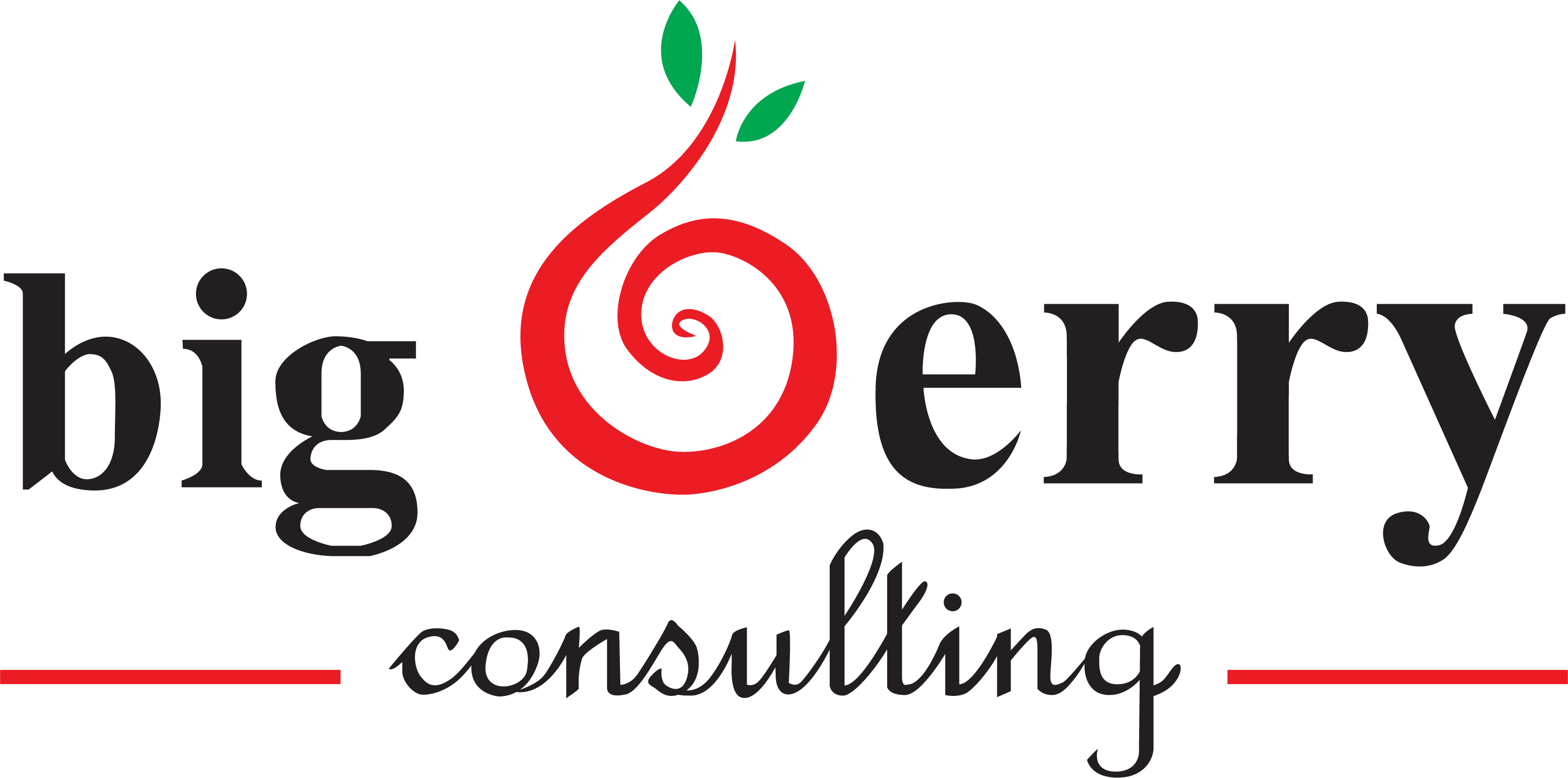 Big Berry Consulting