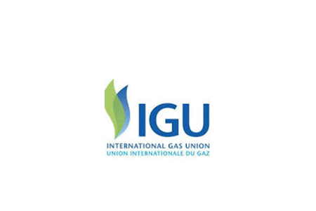 INTERNATIONAL GAS UNION